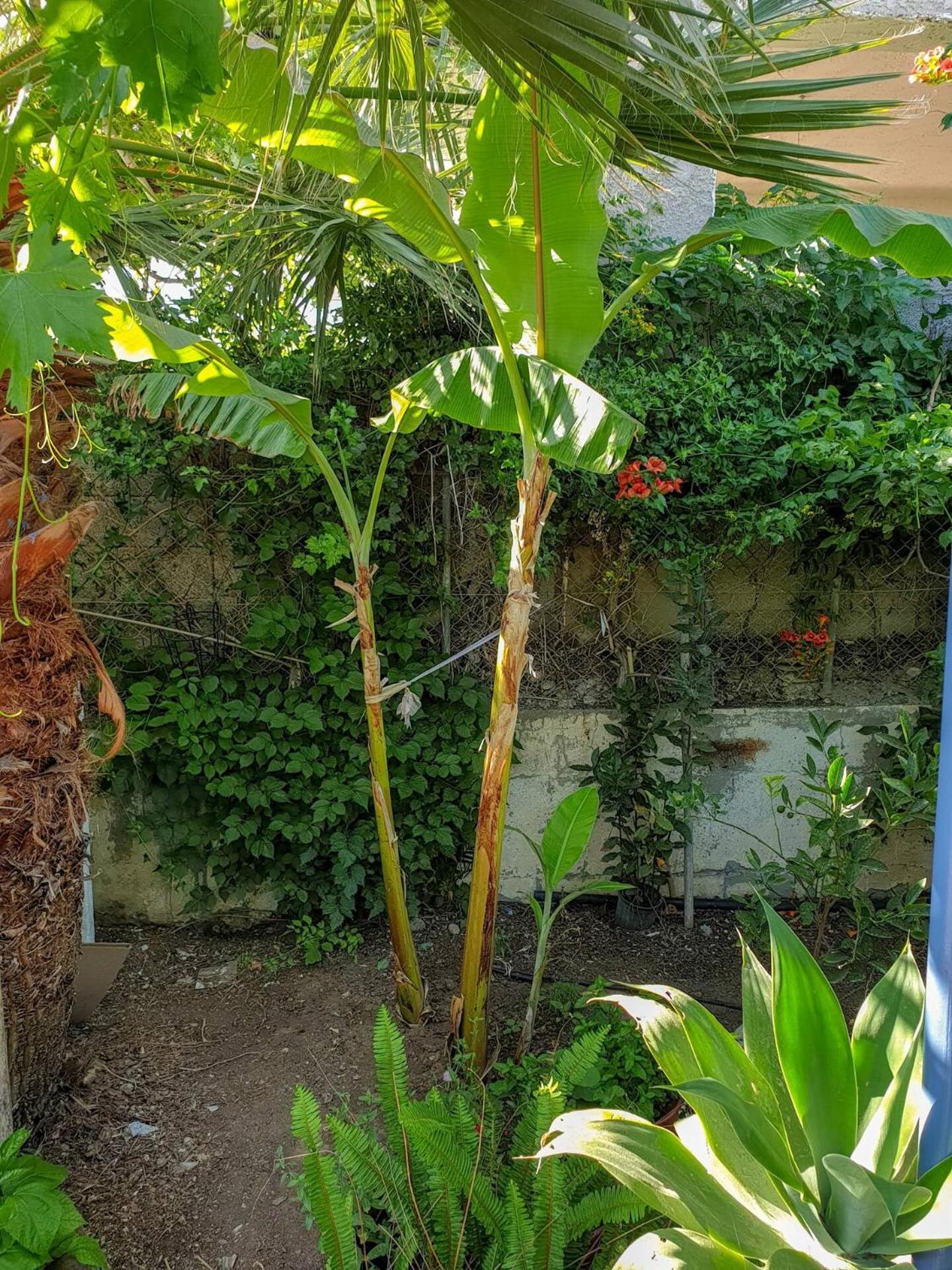 Maria'S House, With Garden Villa Kalamaki  Exterior photo